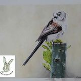 (sale)longtail 9x12 acrylic on paper unframed £50+£2 postage