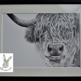 (sold )framed highland cow pencil (size to be added later over 9x12)