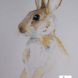 (sale)simple rabbit watercolour (unframed)A4 £10 p&p £2 (sale)simple rabbit watercolour(unframed) A4 £10 p&p £2