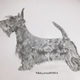 large dog portrait commission
