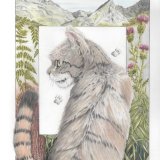 scottish wildcat A4 pencil (sold)