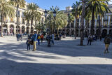 Placa Reial