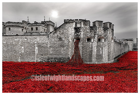 Tower of London Remembers