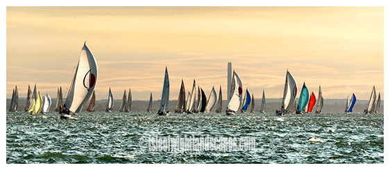 Round The Island Race