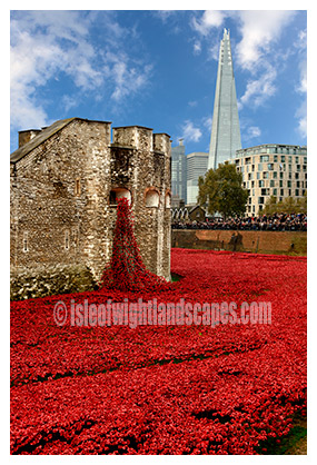 The Tower of London remembers.