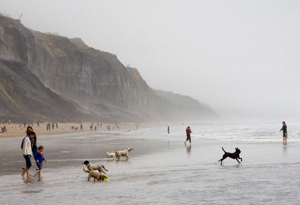 Charmouth Beach