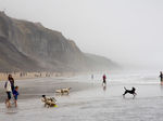 Charmouth Beach