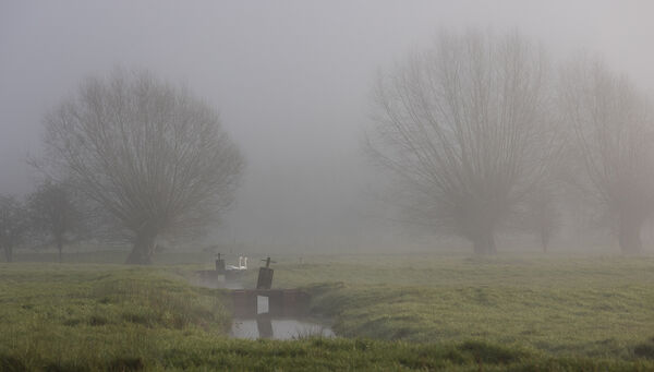 Early Morning Mist