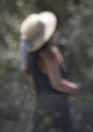 Summer Impressions