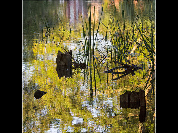 River Abstract