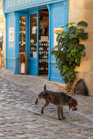 The wine critic