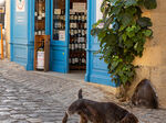 The wine critic