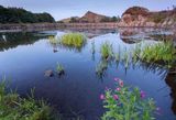Cawfields Reflections