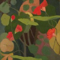 Nasturtiums