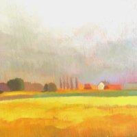 Hannath Road Daffodil Fields (3)