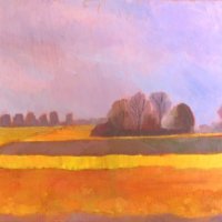Hannath Road Daffodil Fields (4)
