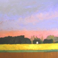 Hannath Road Daffodil Fields (5)