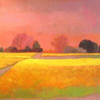 Hannath Road Daffodil Fields