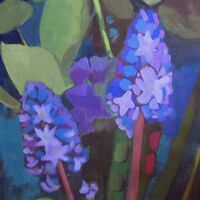 Hyacinths