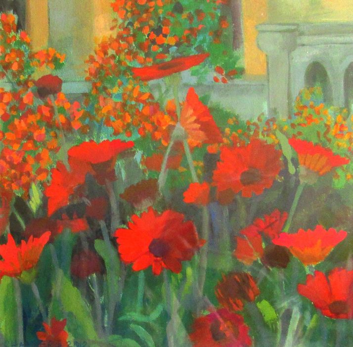 Red Daisies