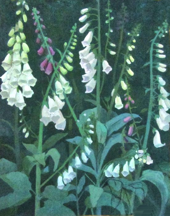 White Foxgloves SOLD