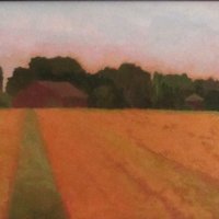Late Summer Field