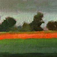 Newton field