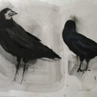 Rook Series (20)