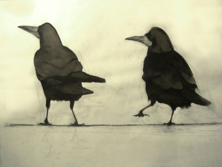 Rooks 1