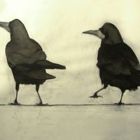 Rooks 1