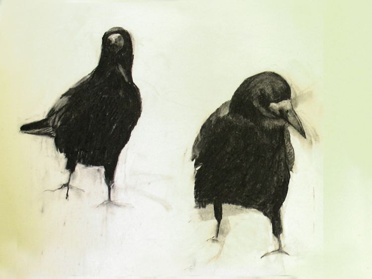 Rooks 2