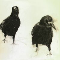 Rooks 2