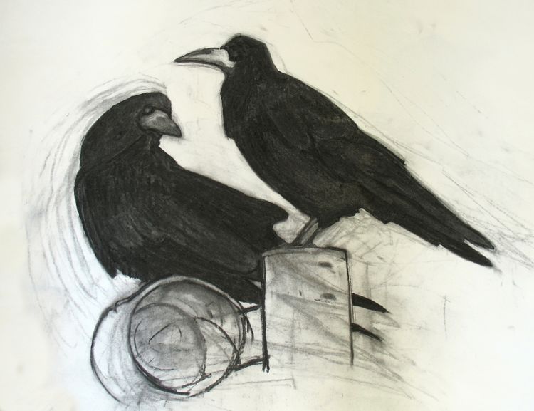 Rooks 3