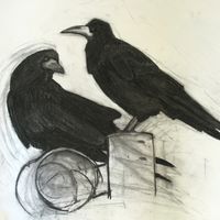 Rooks 3