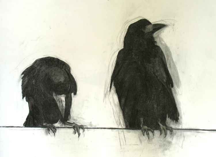 Rooks 4