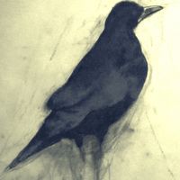 Rooks 5