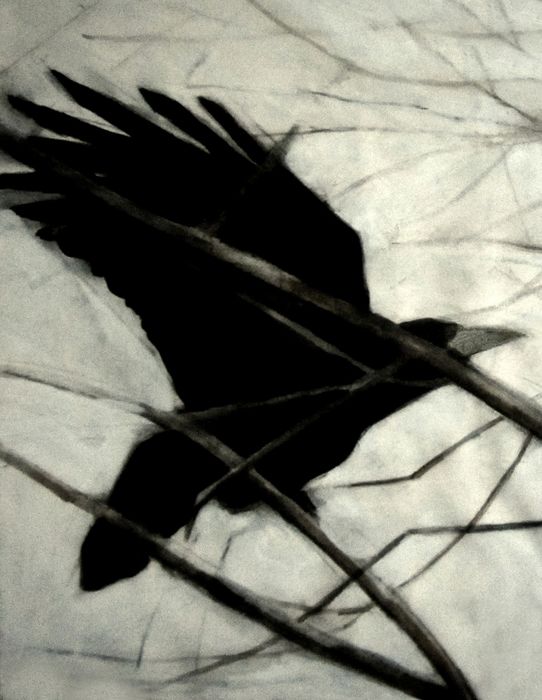 Rooks 6