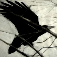 Rooks 6