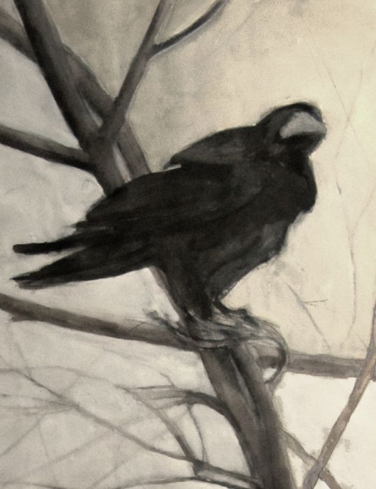 Rooks 8