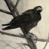 Rooks 8