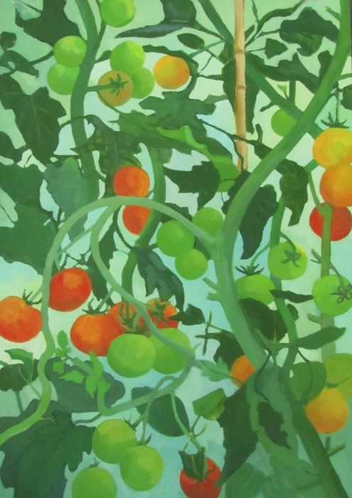 Tomatoes SOLD
