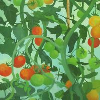 Tomatoes SOLD