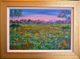 Field of poppies