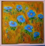 Blue poppies