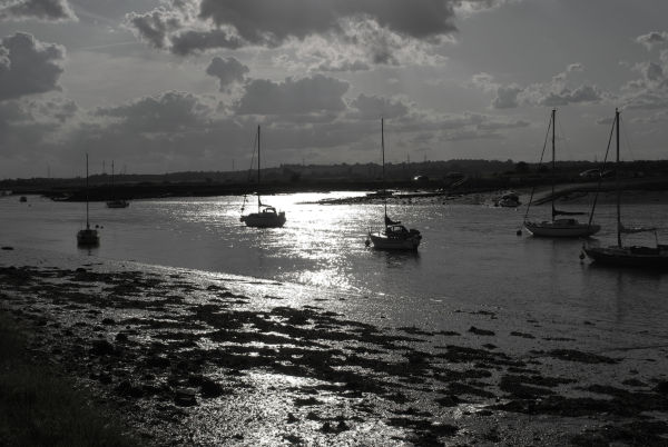 Home on the river