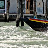 IMG 0377 pe Venice