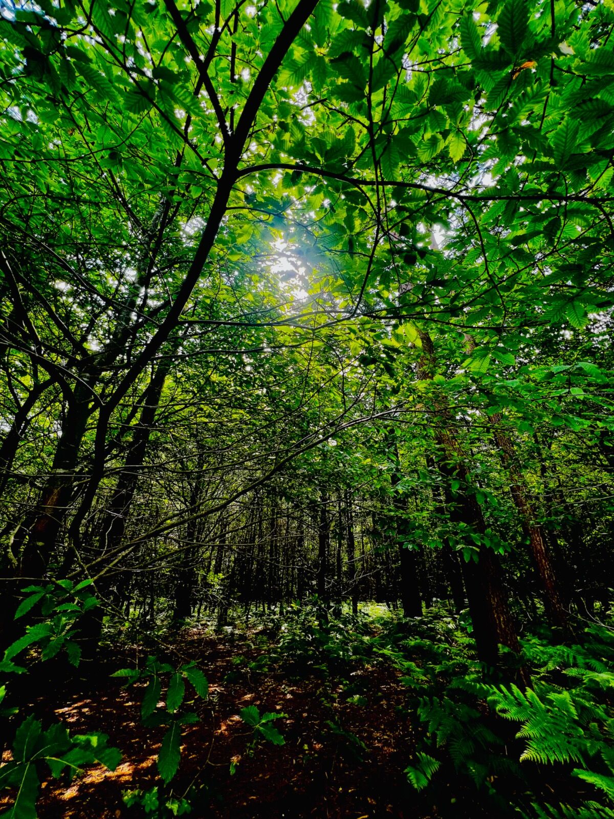 There is light