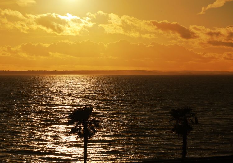 A winter sunset in the East of England
