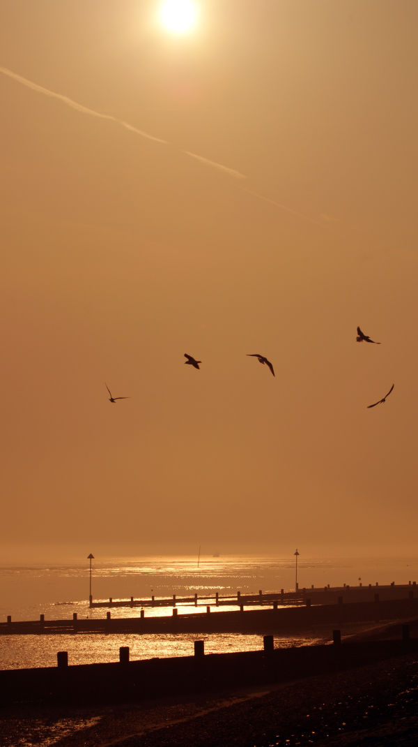 Southend on Sea sunset
