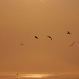 Southend on Sea sunset